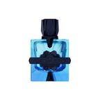 Aromatix Magnetiq 100ml